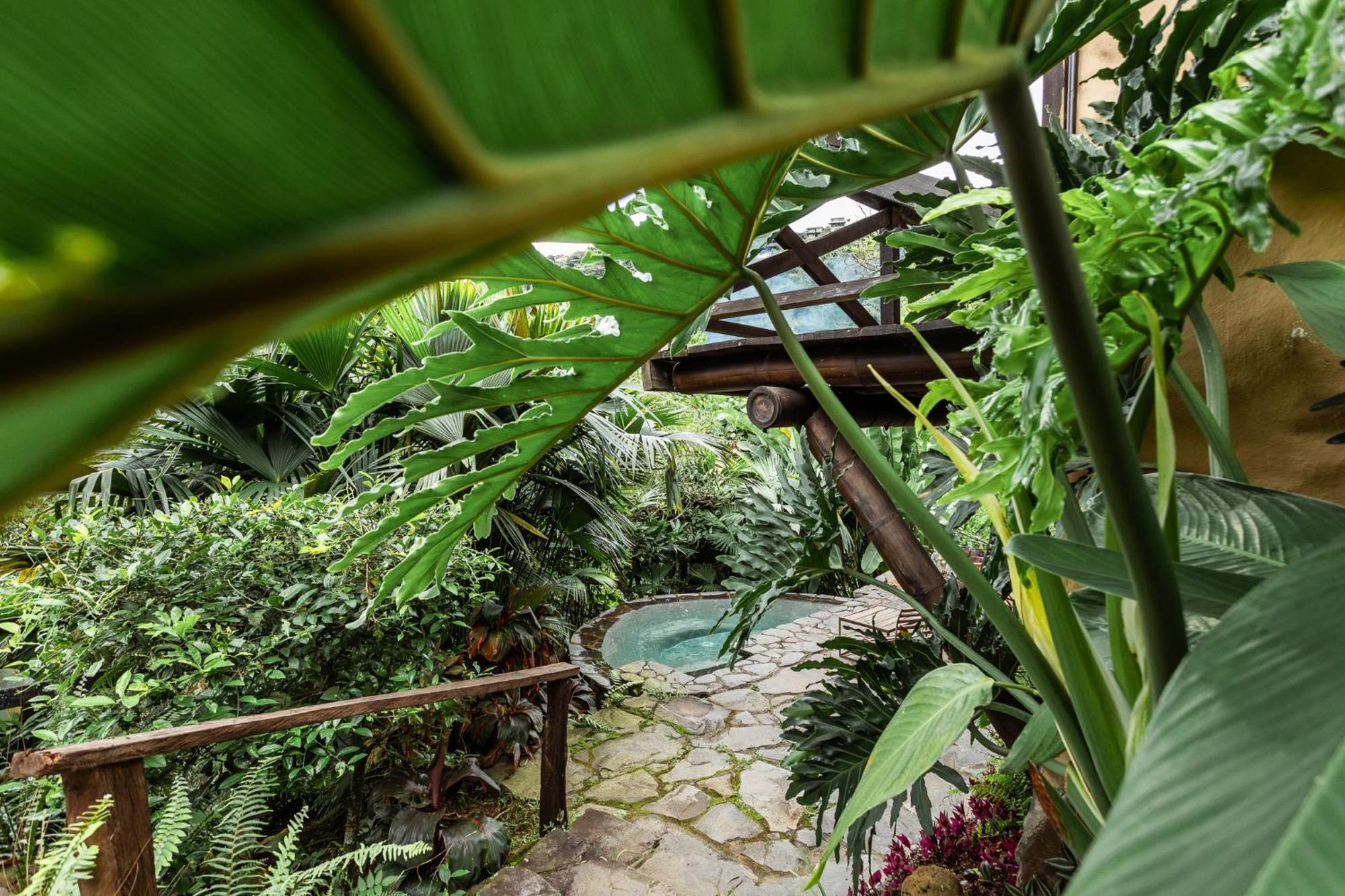Cabanas En La Montana Viga Vieja San Peregrino Ngoại thất bức ảnh