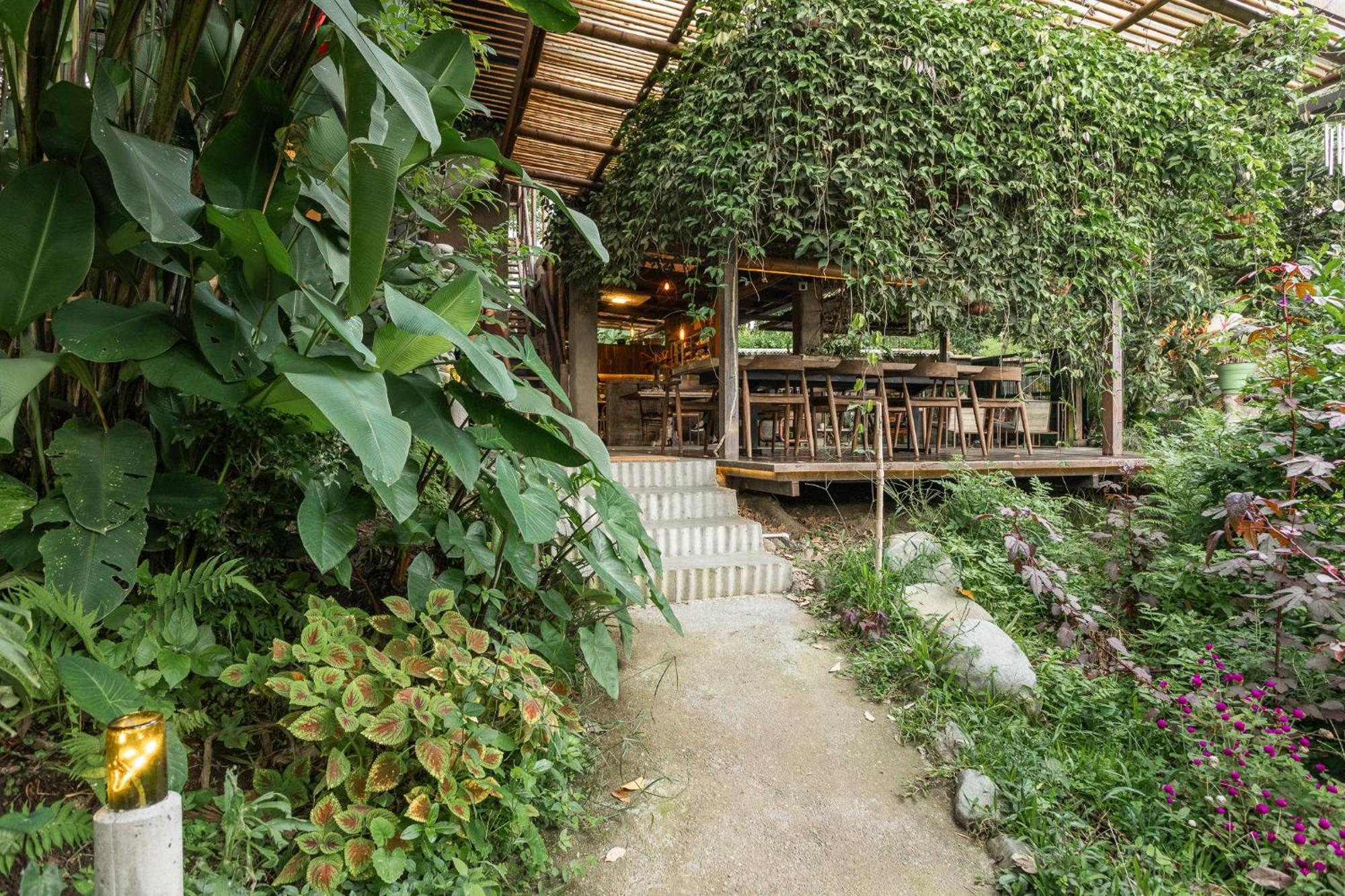 Cabanas En La Montana Viga Vieja San Peregrino Ngoại thất bức ảnh